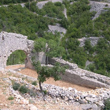 Apartment Starigrad/Senj 1 Stari Grad Eksteriør billede